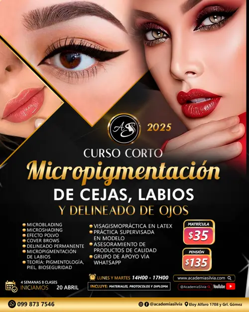 Curso Corto Micropigmentación