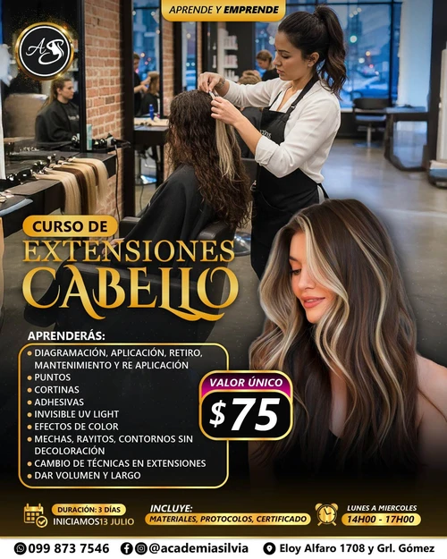 Curso Extensiones de Cabello