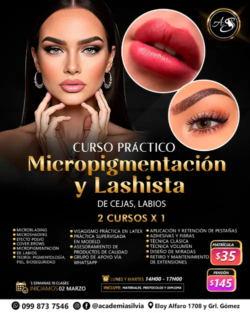 Curso Corto Micropigmentación